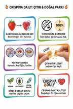 Dondurularak Kurutulmuş Meyveler Teknolojisi ile Besin Değeri Korunmuş Freeze Dried Çıtır Meyveler; Vegan, Glutensiz ve Düşük Kalorili Sağlıklı Atıştırmalık Rehberi